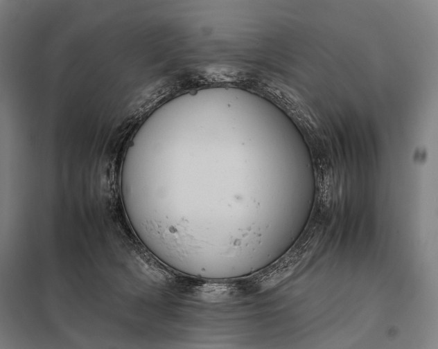 X0000097860418200803281316