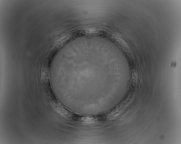 X0000097860419200803281316