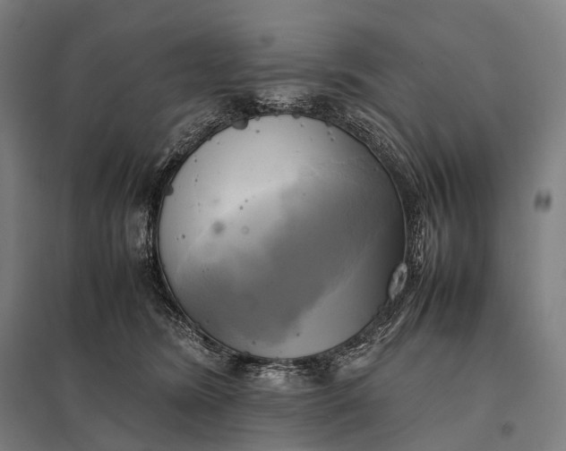 X0000097860420200803281316