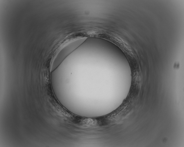 X0000097860421200803281316