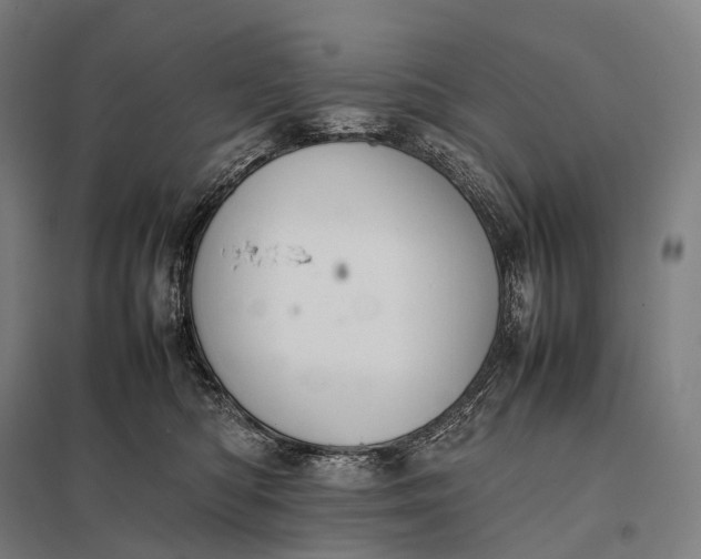 X0000097860422200803281316