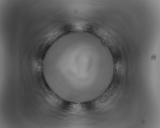 X0000097860423200803281316