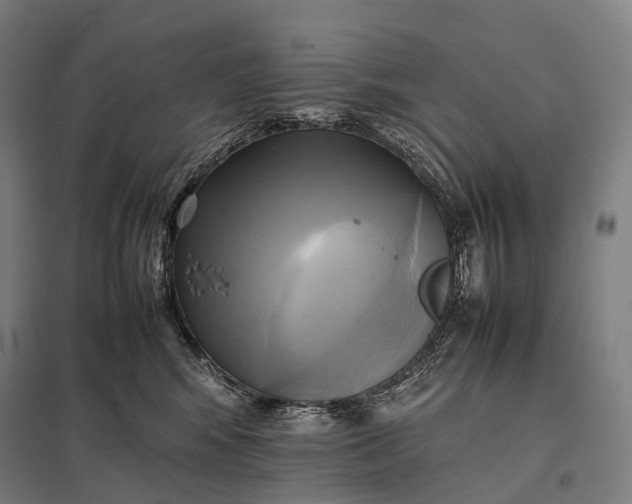 X0000097860424200803281316