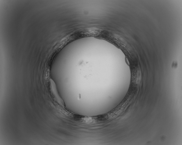 X0000097860425200803281316