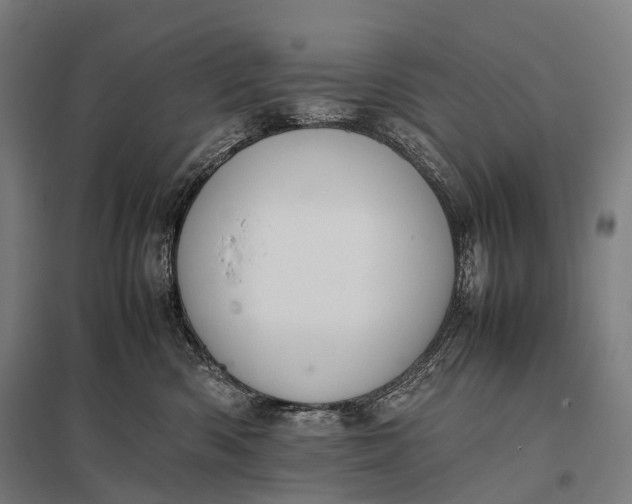 X0000097860426200803281316