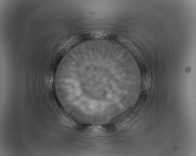 X0000097860427200803281316