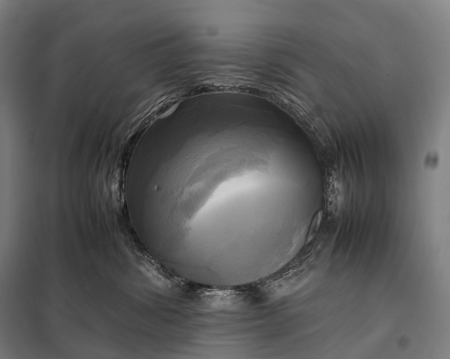 X0000097860428200803281316