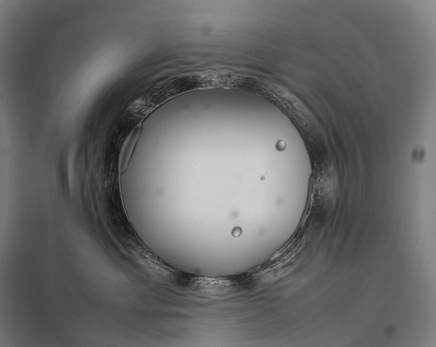 X0000097860429200803281316