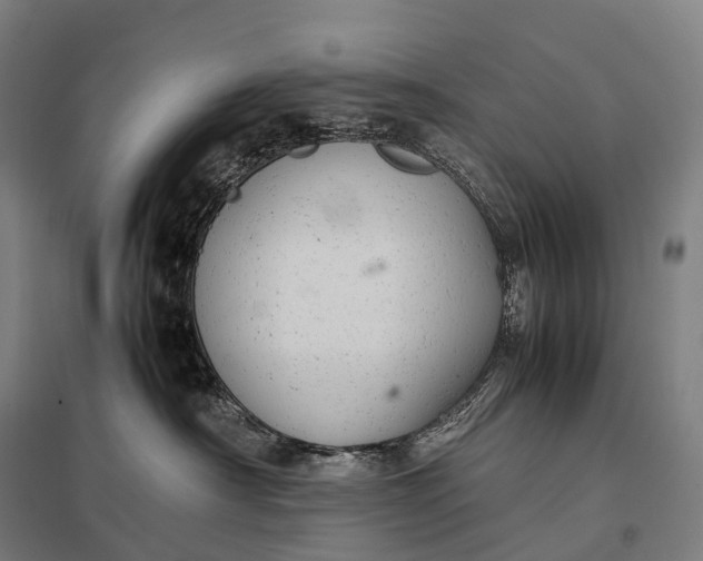 X0000097860430200803281316