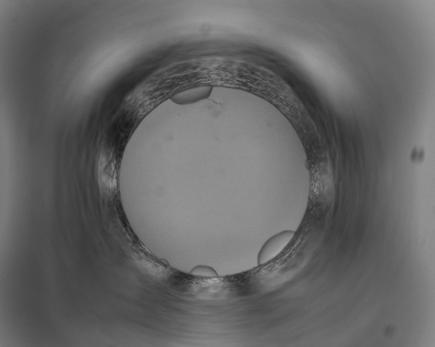 X0000097860431200803281316