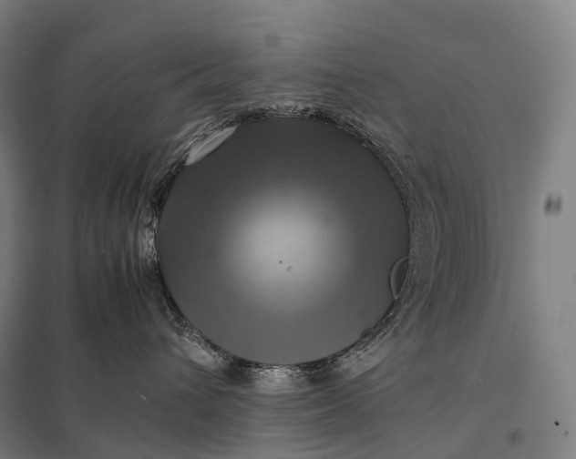 X0000097860432200803281315