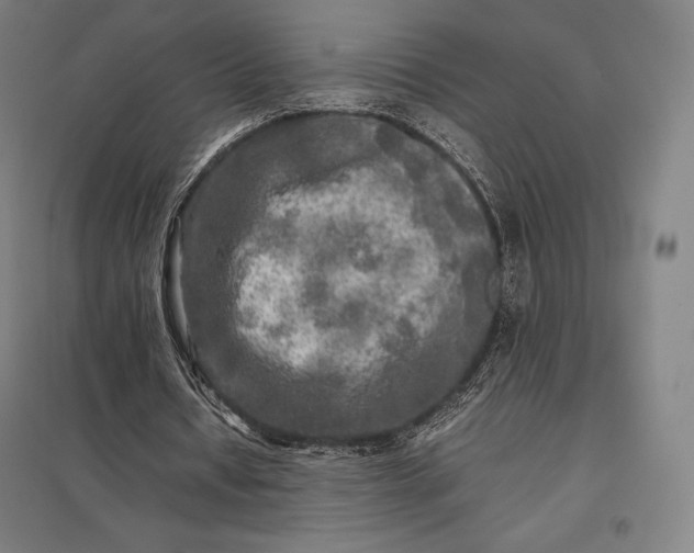 X0000097860434200803281315