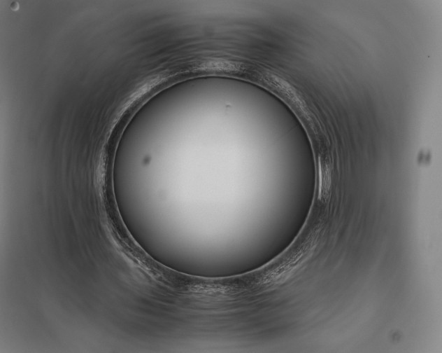 X0000097860435200803281315