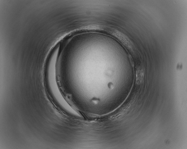 X0000097860436200803281315