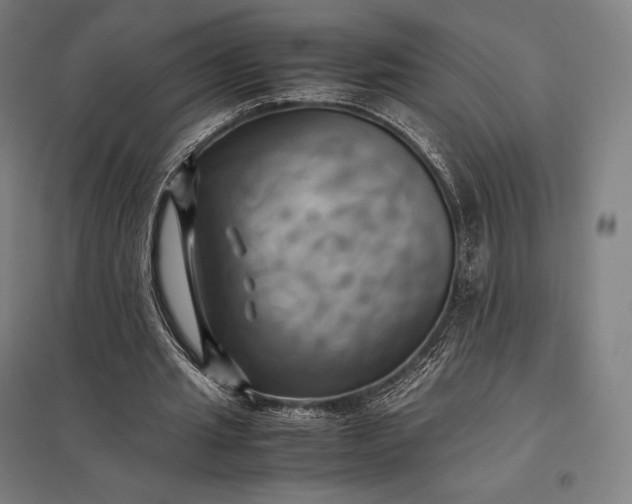 X0000097860437200803281315