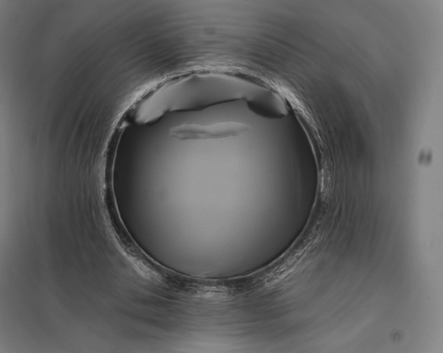 X0000097860438200803281315