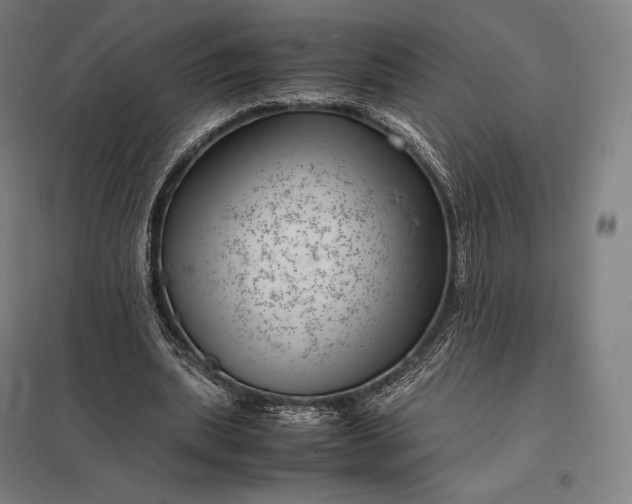 X0000097860439200803281315