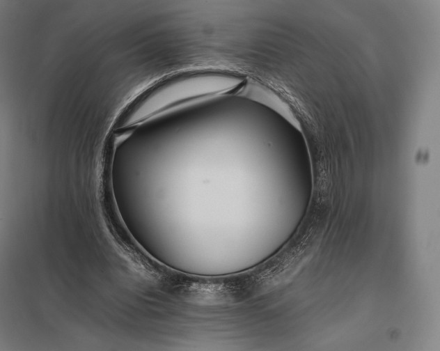 X0000097860440200803281315