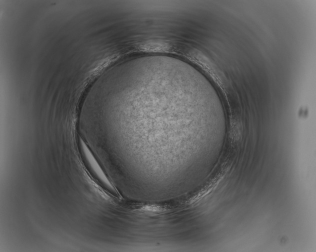 X0000097860441200803281315