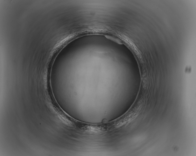 X0000097860442200803281315