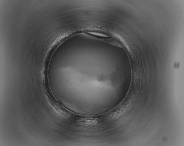 X0000097860443200803281315