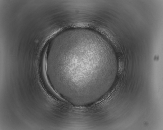 X0000097860444200803281315