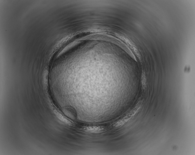 X0000097860445200803281315