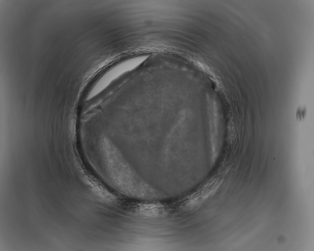 X0000097860446200803281315