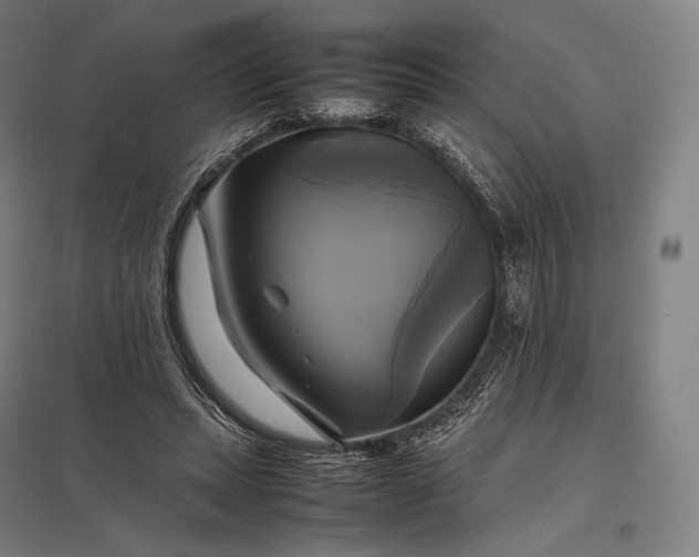 X0000097860447200803281315