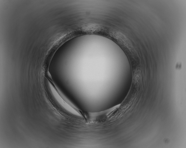 X0000097860448200803281315