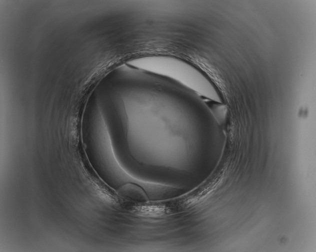 X0000097860449200803281315