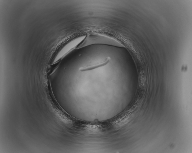 X0000097860450200803281315