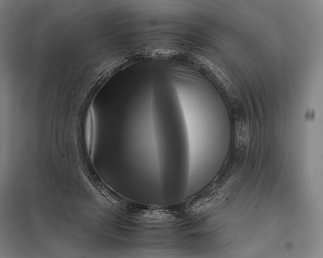 X0000097860451200803281315