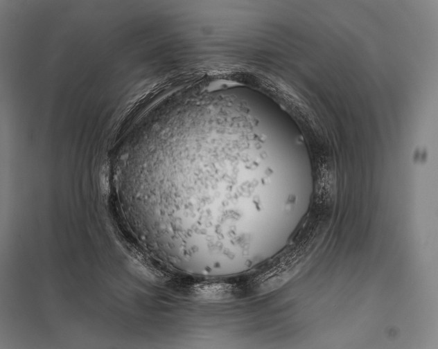 X0000097860452200803281315