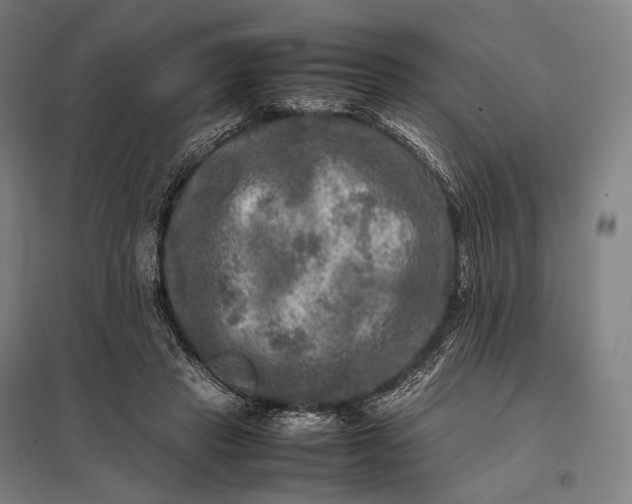 X0000097860453200803281315