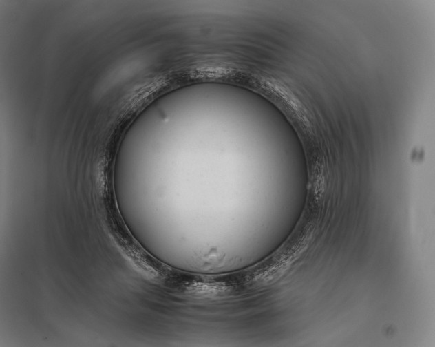 X0000097860455200803281315