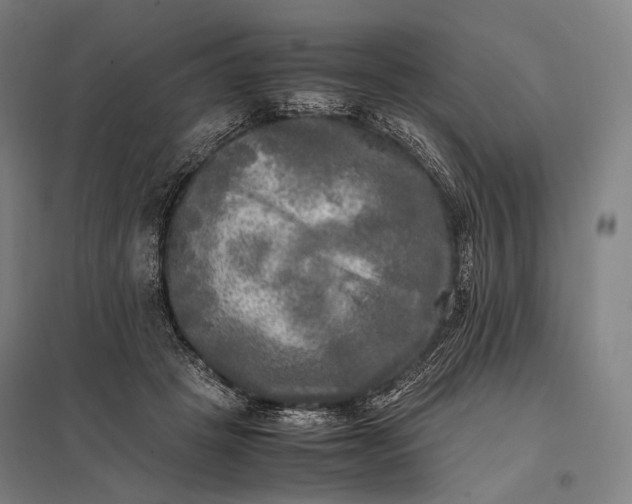 X0000097860457200803281315