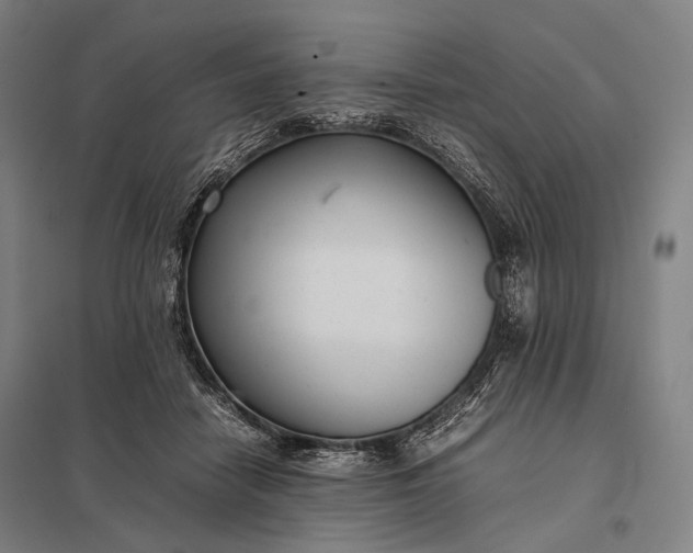 X0000097860458200803281315