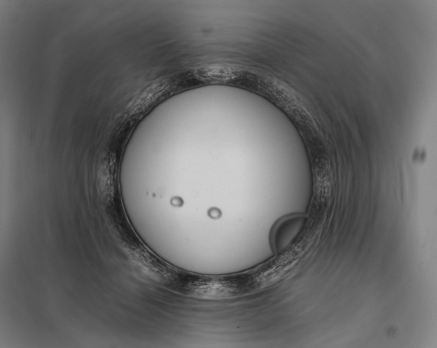 X0000097860460200803281315