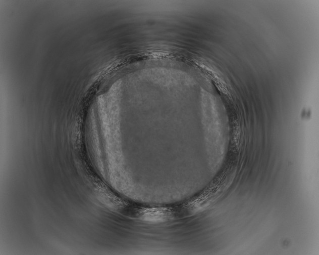 X0000097860461200803281315