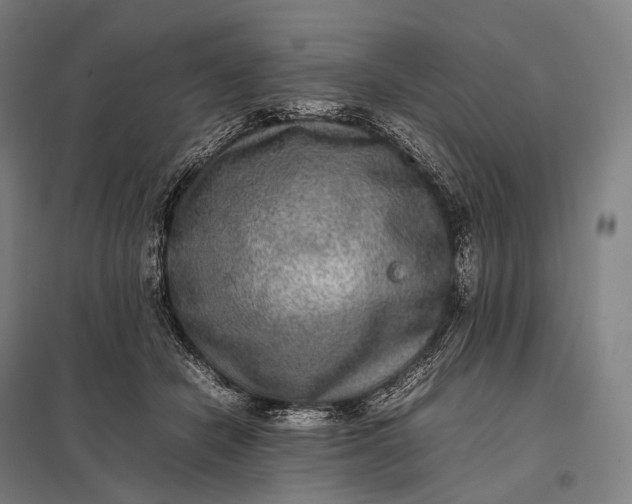 X0000097860462200803281315