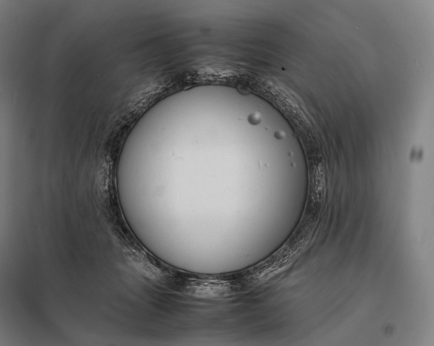 X0000097860463200803281315