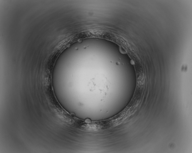 X0000097860464200803281315