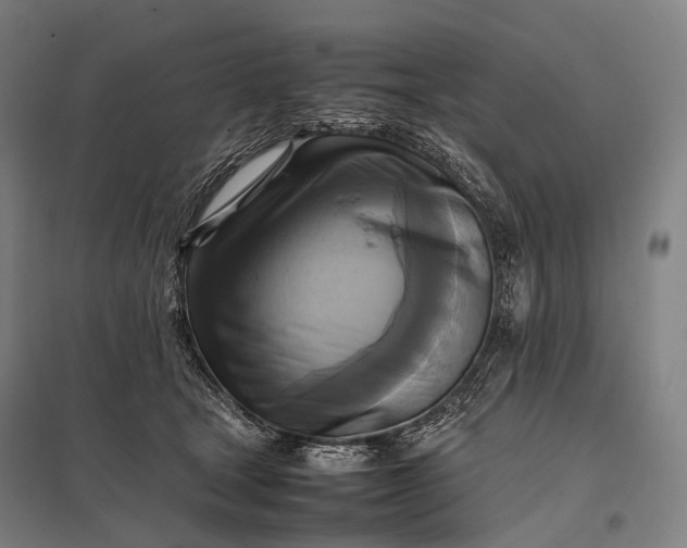 X0000097860465200803281315