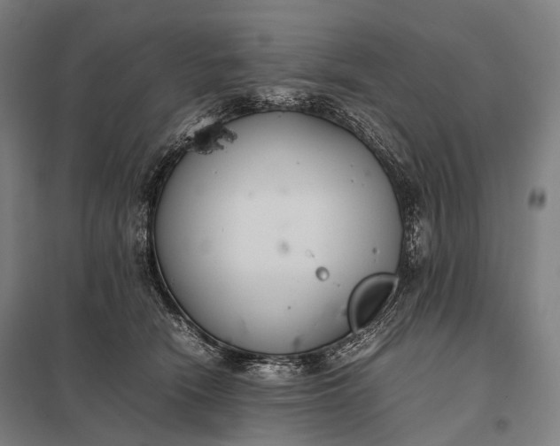 X0000097860466200803281315