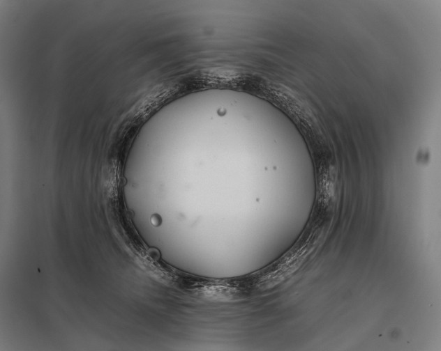 X0000097860468200803281315