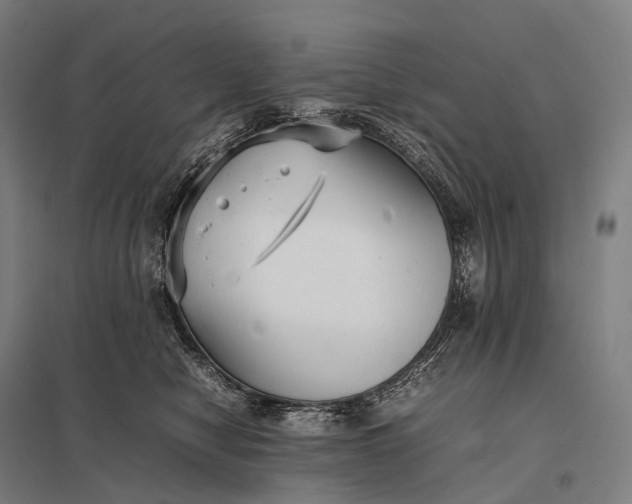 X0000097860470200803281315