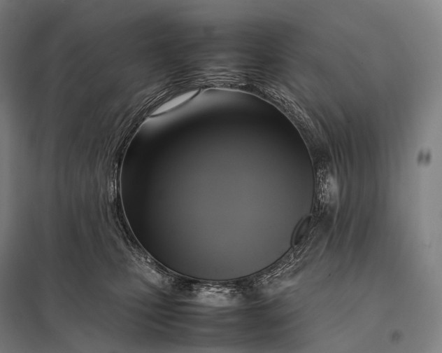 X0000097860471200803281315