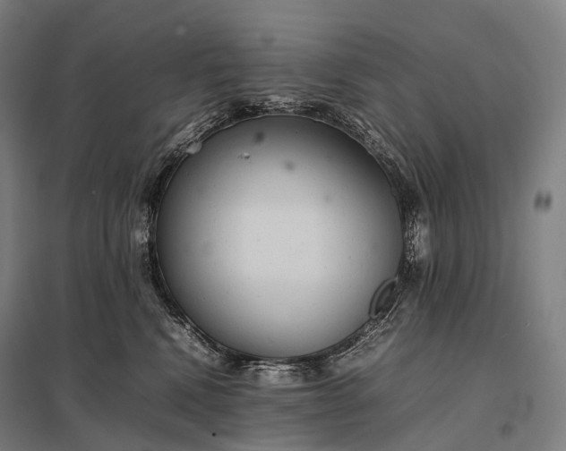 X0000097860472200803281315