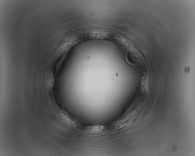 X0000097860474200803281315